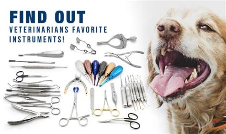 what tools do veterinarians use