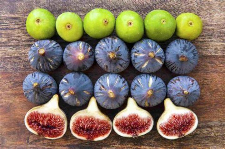 what type of fruit is a fig