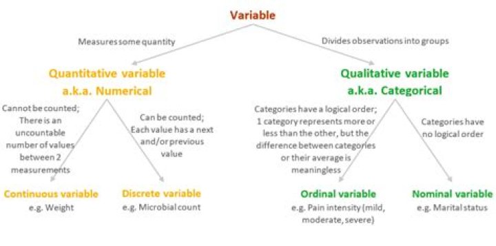 What type of variable is age?