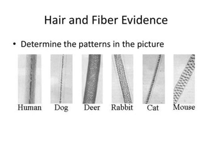What types of cases do hair and fiber evidence have value
