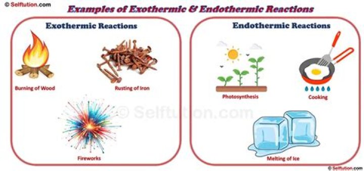 What types of energy are released in exothermic reactions