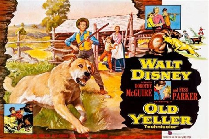 What was the dogs name in Old Yeller