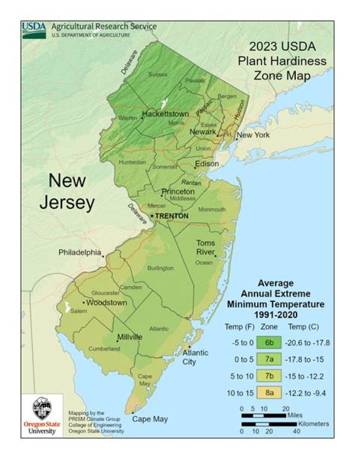 What zone is northern New Jersey