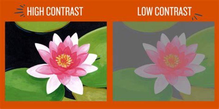 whats contrast in art