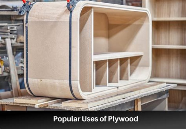 When did Plywood become popular
