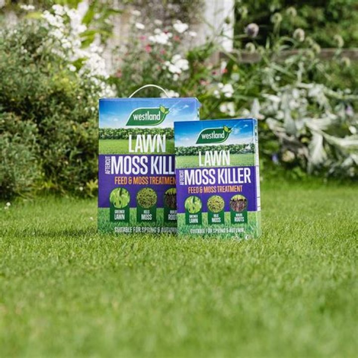 when to apply moss killer to lawn uk