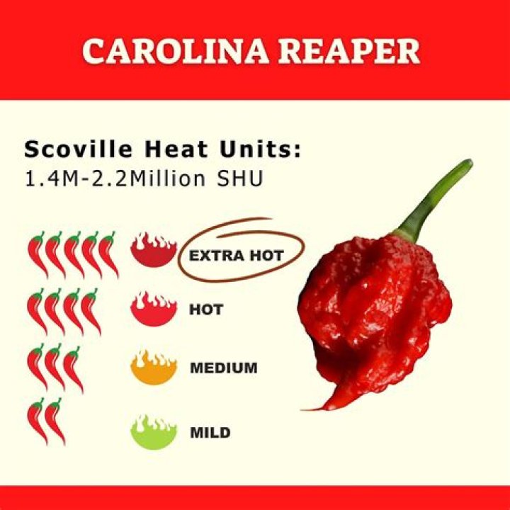 when was the carolina reaper made