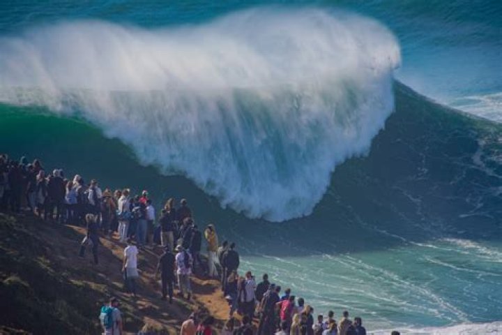 Where are the largest waves in Hawaii