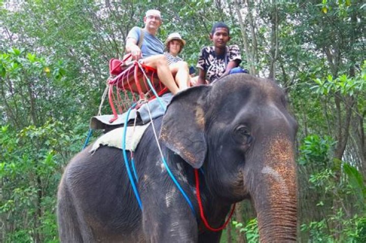 where can i ride an elephant near me