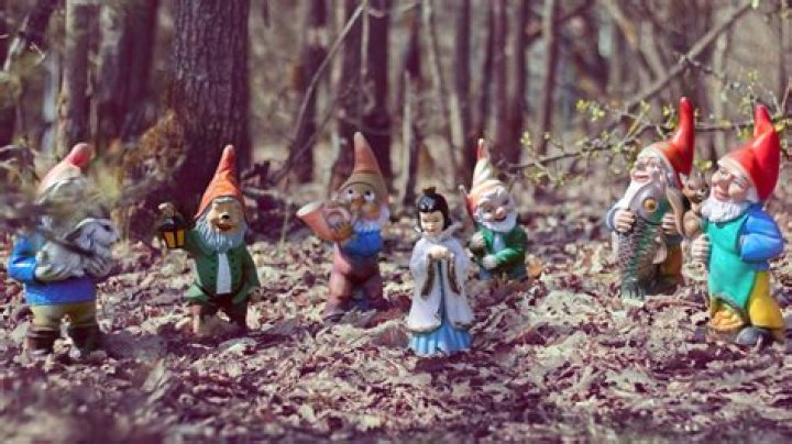 where did gnomes originate