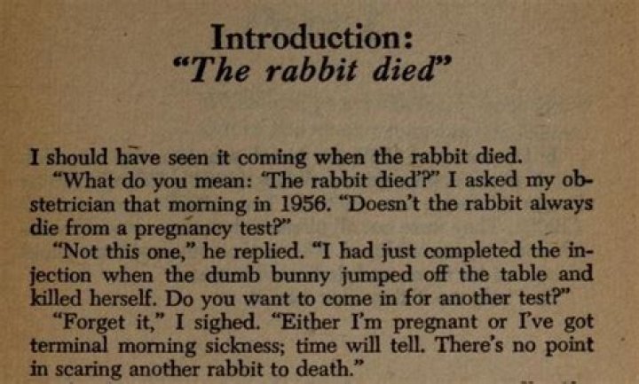 Where did the expression the rabbit died come from