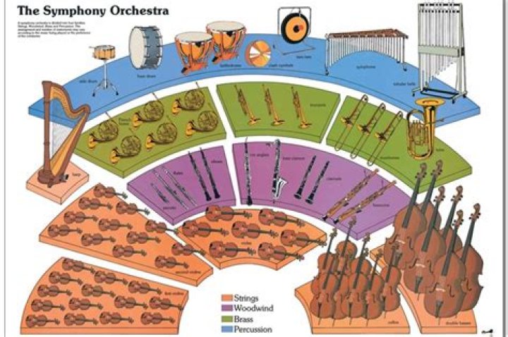 Where do musicians sit in the orchestra?