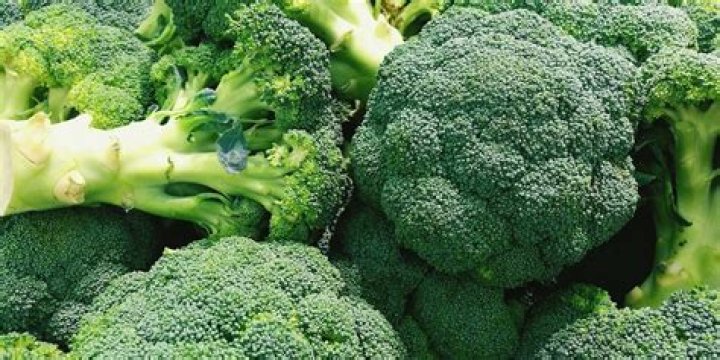 where does broccoli come from