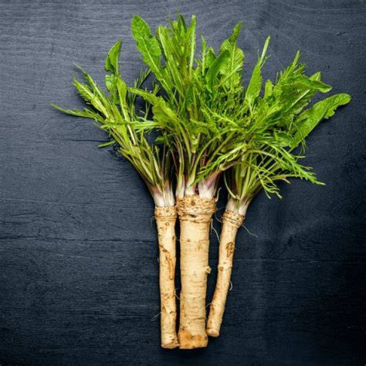 where does horseradish come from
