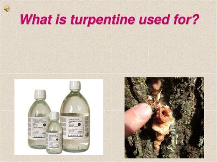 where does turpentine come from