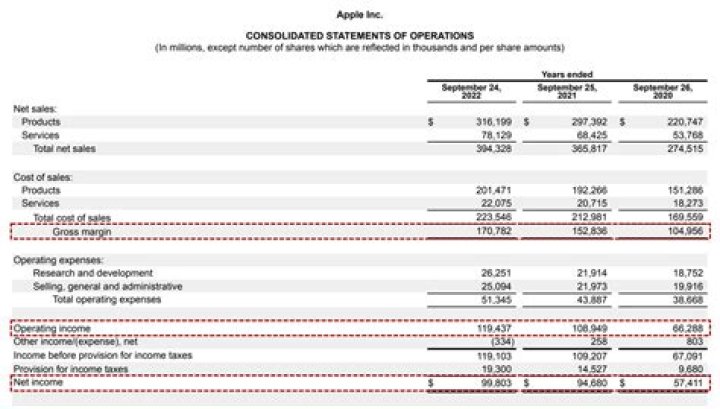 Where is dividend income reported on income statement