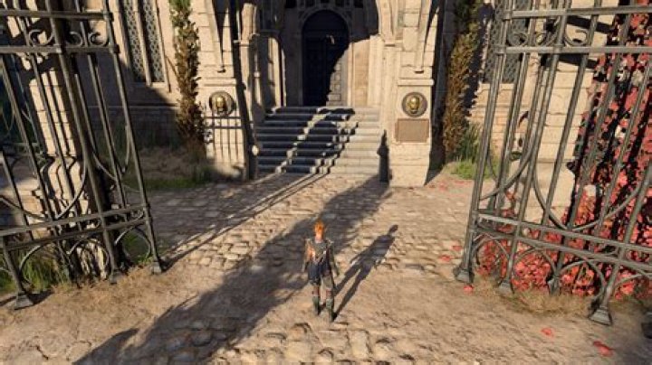 Where is the house sparrow from