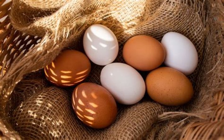 Which are healthier brown or white eggs?