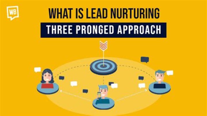 Which case declared US schools must use a 3 pronged approach that was evidenced based and evaluated