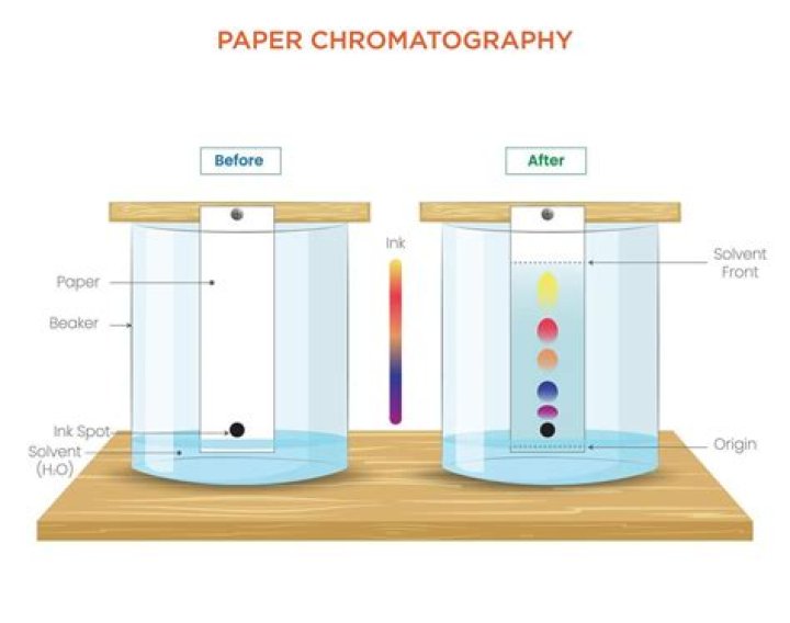 Which filter paper is used for paper chromatography?