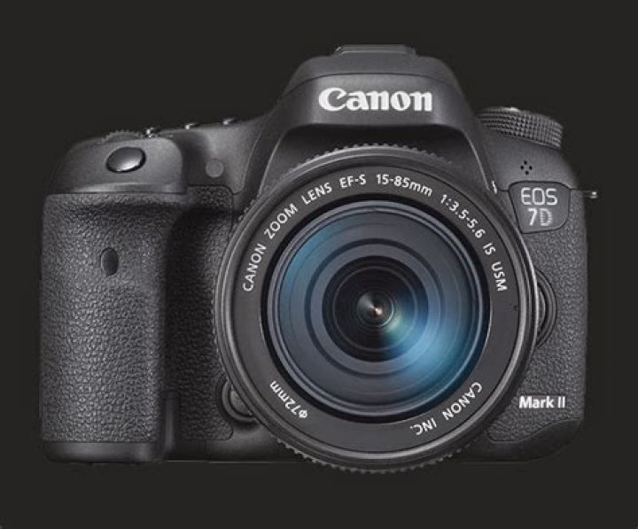 Which is better 5d or 7d Canon?