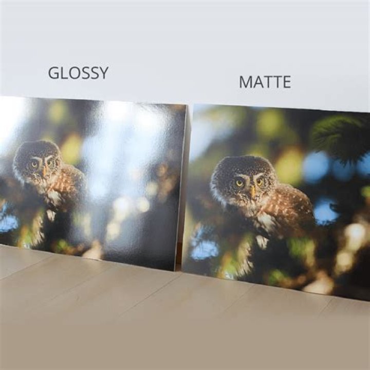Which is better matte or glossy photos?