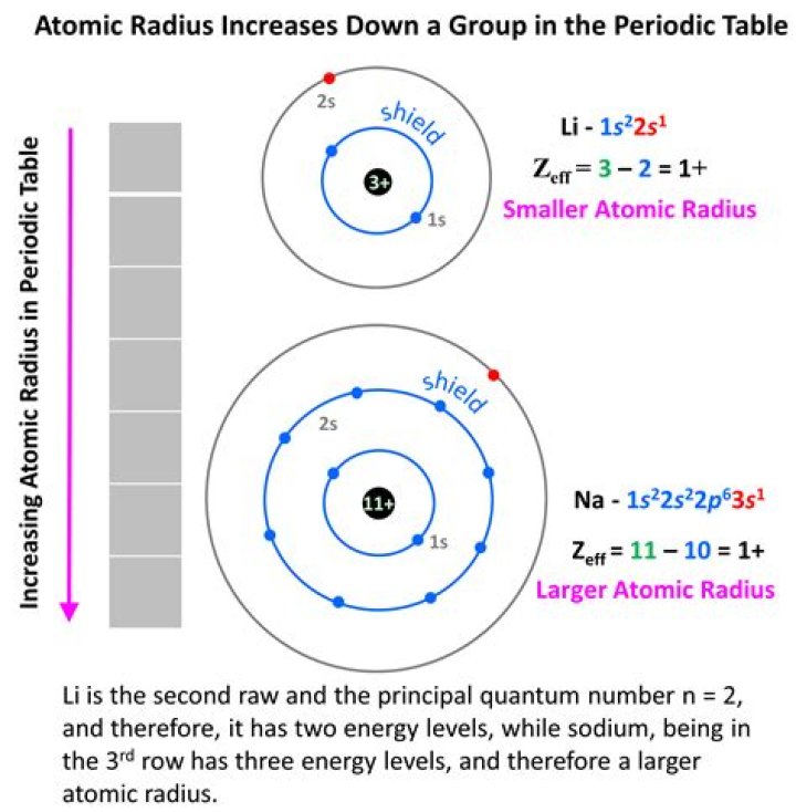 Which is larger atomic radius or MG?