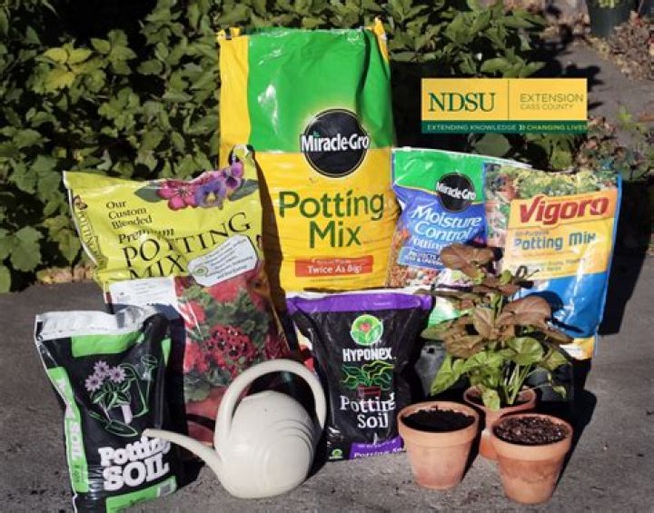 Which is the best potting mix