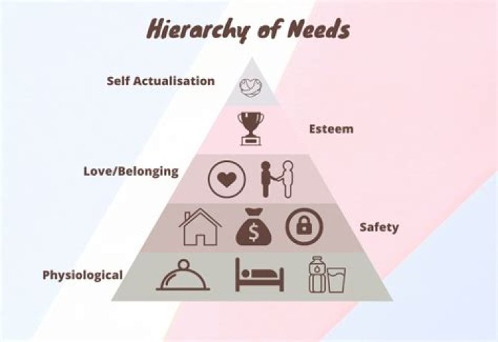 Which is the lowest level of the hierarchy of needs model