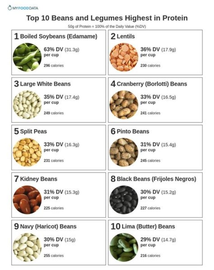 Which legume has the most protein