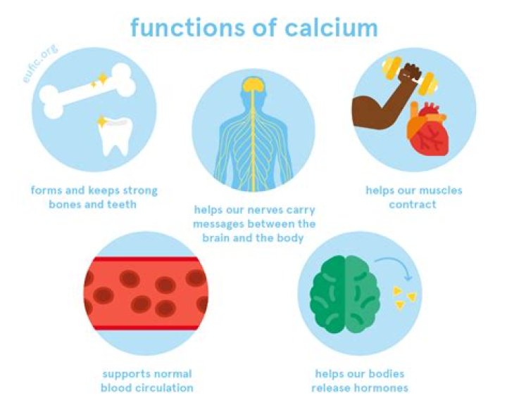 Which of the following are functions of calcium