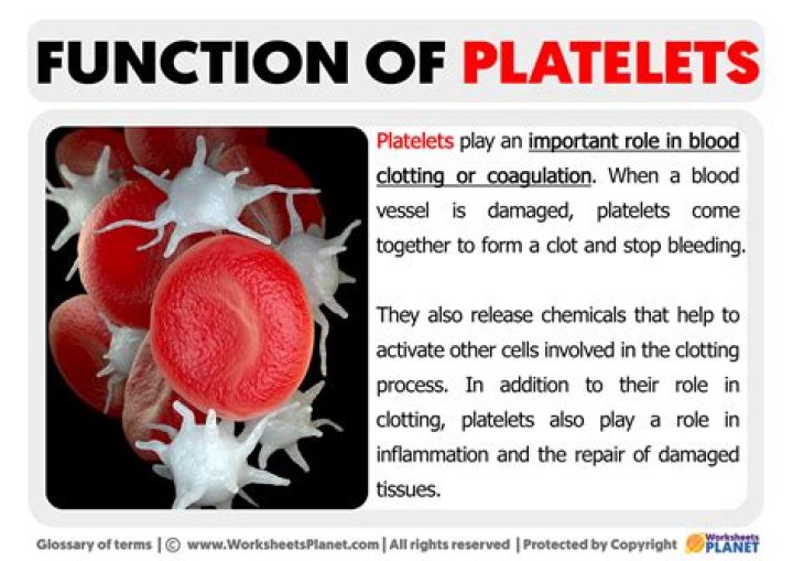 which of the following is the function of platelets