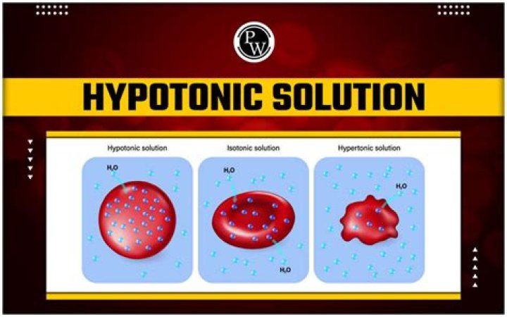 Which of these is an example of a hypertonic solution