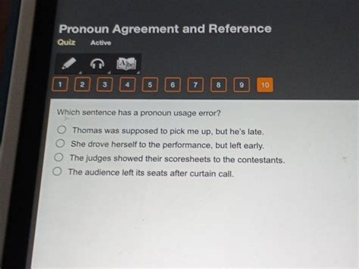 which sentence has a pronoun usage error?