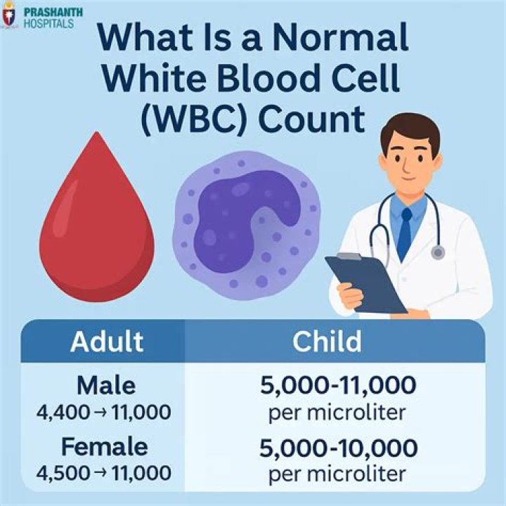 white blood cell count 17000