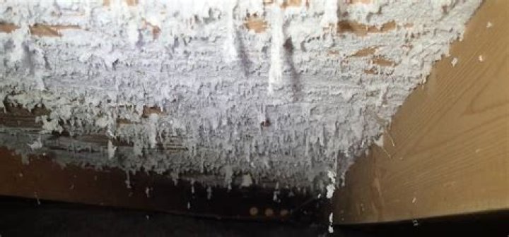 white mold on brick