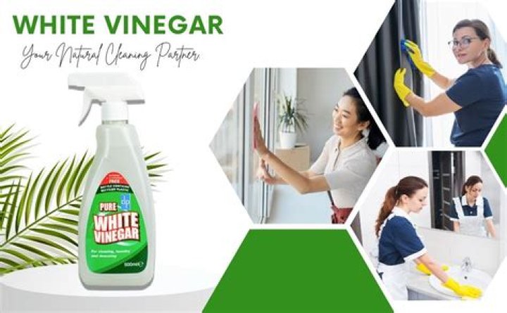 white vinegar for cleaning windows