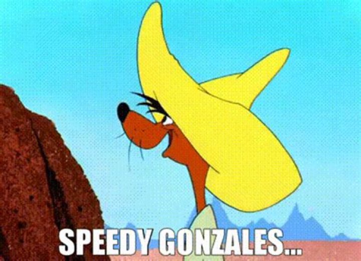 Who always chased Speedy Gonzales?