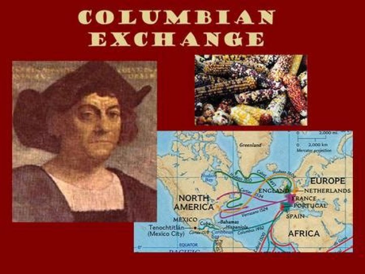 Who benefited from the Columbian Exchange