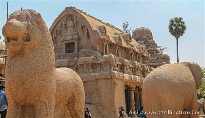 Who built the rock cut temples of Mahabalipuram?