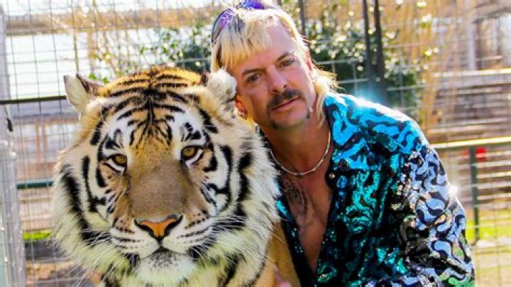 Who has a tiger as a pet