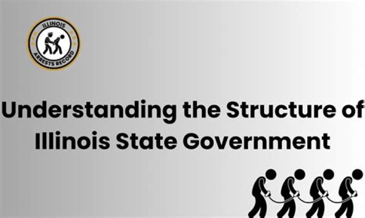 Who is the chief executive of the Illinois state government