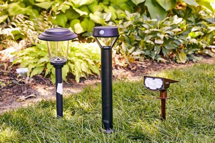 Who makes the best outdoor solar lights