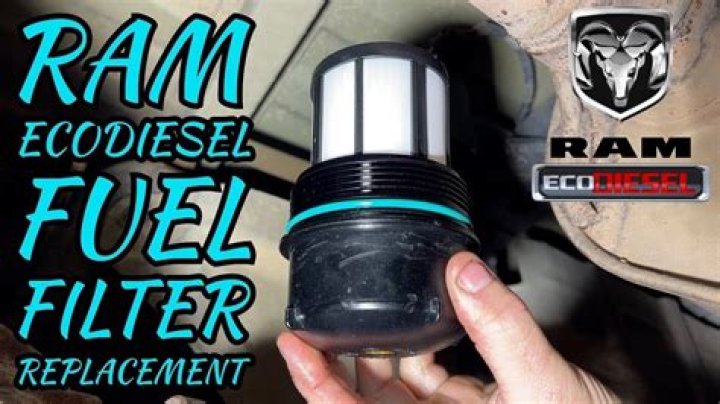 who makes the ecodiesel