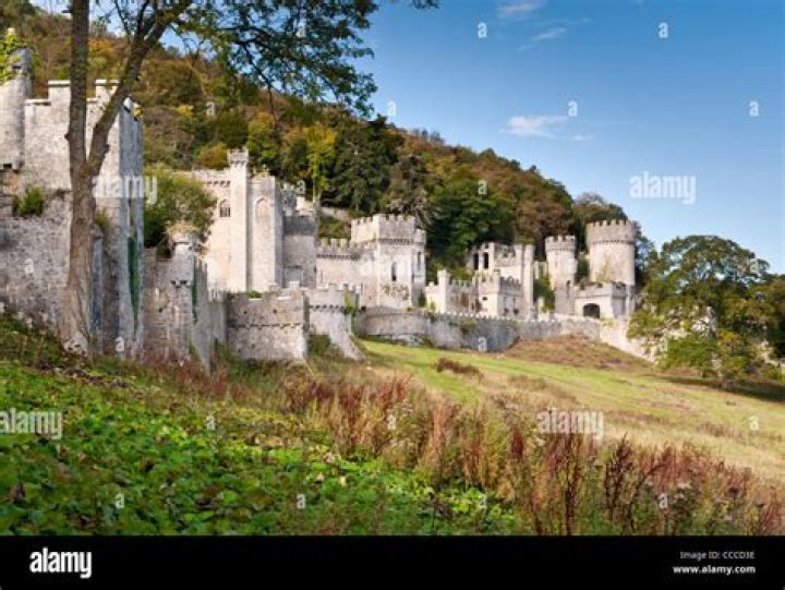 Who owns Gwrych Castle in north Wales?