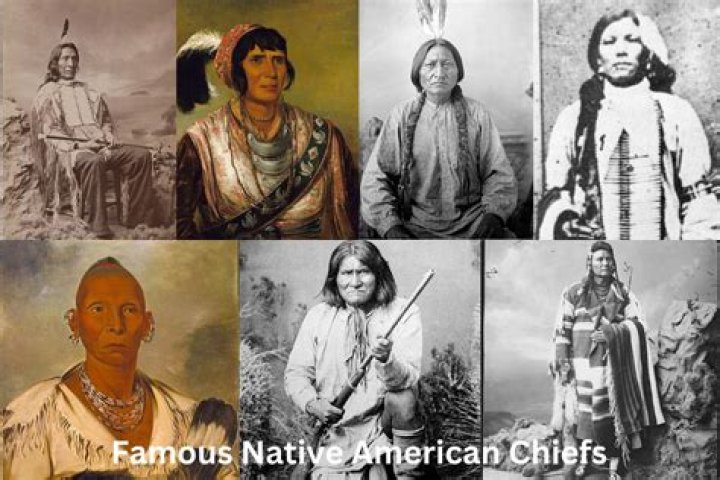 Who were the Native American allies in the French and Indian War