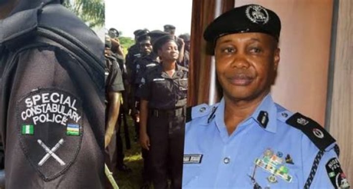 Why are some police forces called constabularies?