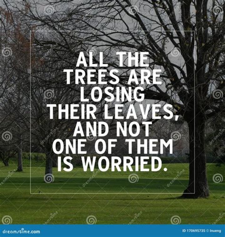 Why are the ash trees losing their leaves