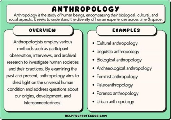 Why do anthropologist use cultural relativism to explain shared human behaviors