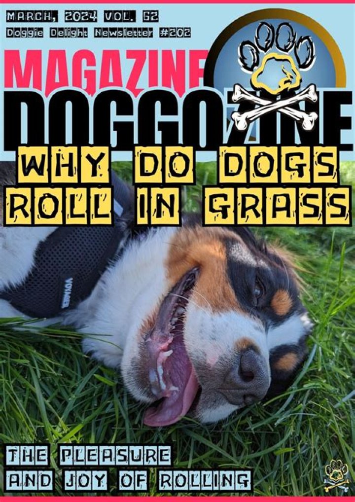 why do dogs roll in the grass